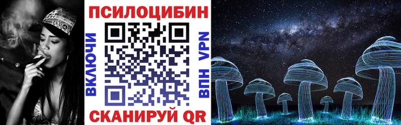 Псилоцибиновые грибы Psilocybe  блэк спрут   Боровичи 