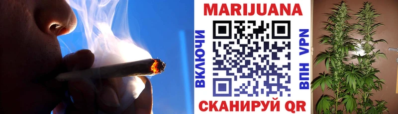 где продают   Боровичи  Каннабис индика 